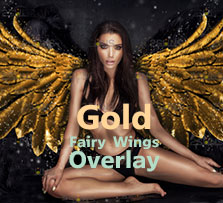 56张高清透明背景的金色仙女翅膀PNG图片：Gold Fairy Wings Overlay